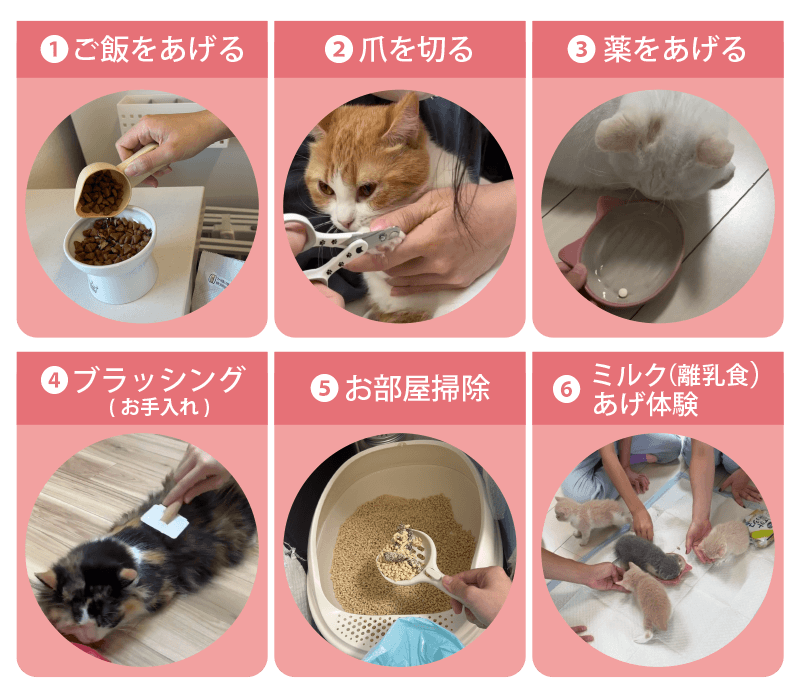 体験内容